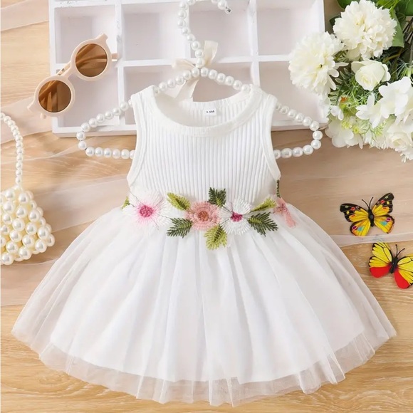 Infant Baby Girl’s Pink Embroidered Sleeveless White Dress (3-6m) NWT - Picture 1 of 7